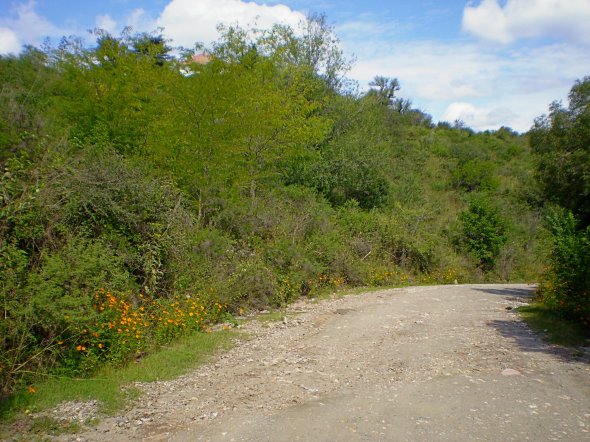 A - Lote Berta #1