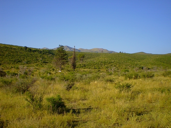 A - Las Lomas Lotes - agendanegocios.com.ar