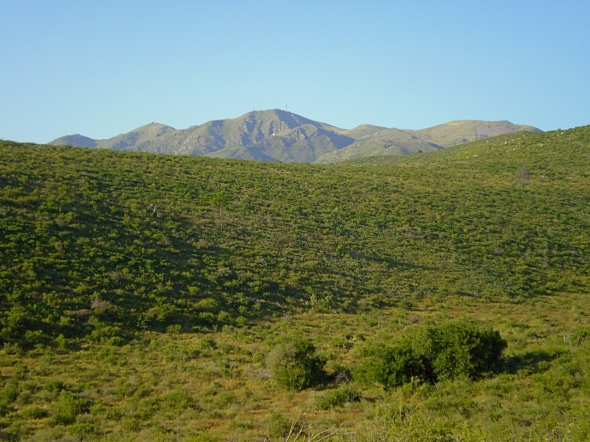 A - Las Lomas Lotes #5