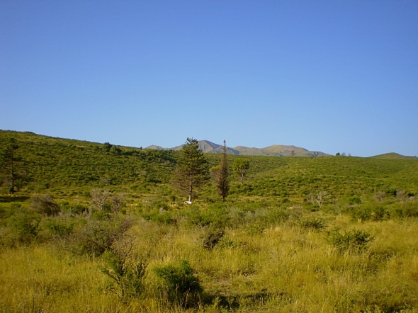 A - Las Lomas Lotes #3