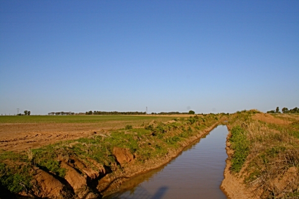 A - Campo Rosario Flores #3