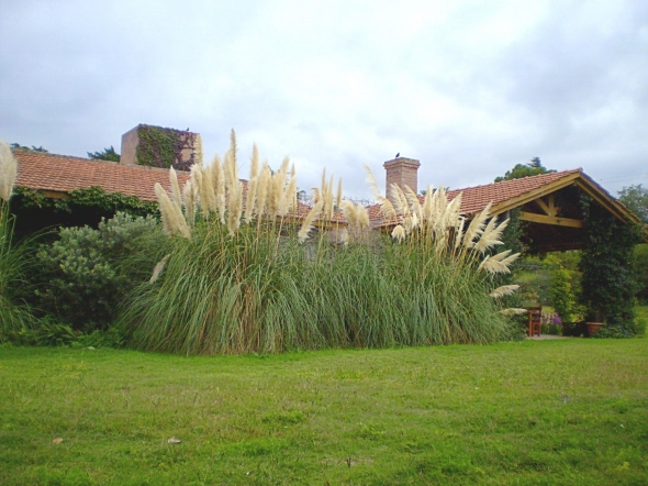 A - Casa La Seollana #2