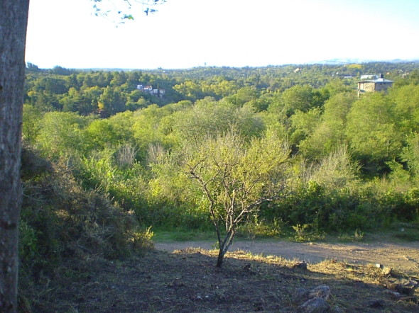 A - Lote R-23 #3