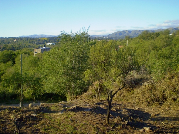 A - Lote R-23 #4