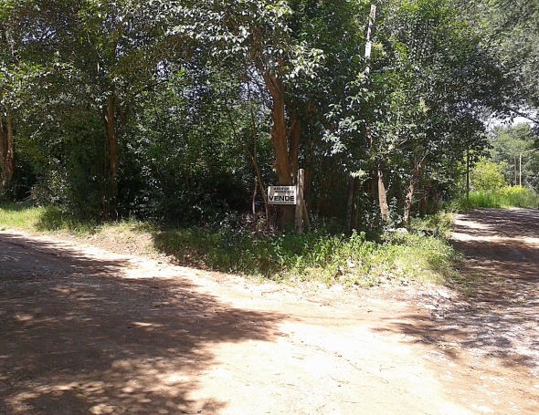 A - Lote M 01 #1